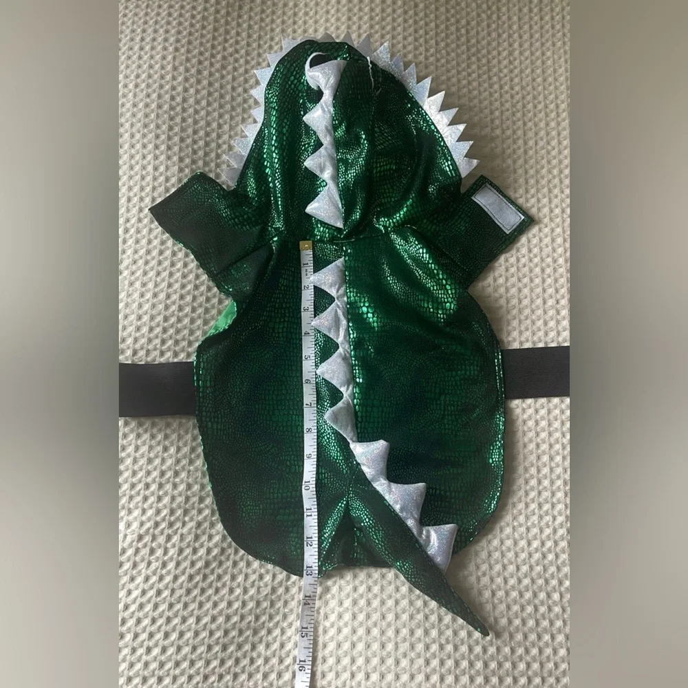 Dog costume Halloween Dragon